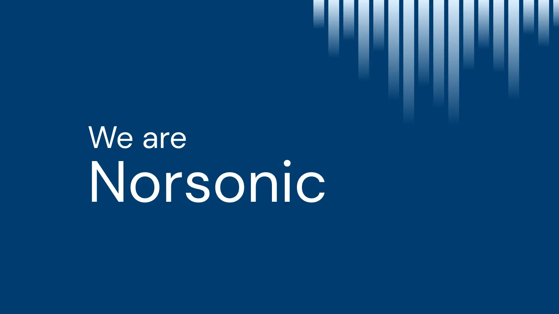 We-are-Norsonic-Video-thumbnail
